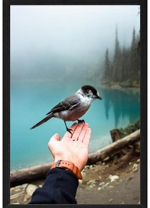 Дерев'яна рамка 58x85 рама 85x58 см для фотографії плаката пазлу 3 кольори