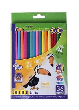 Карандаши цветные, 36 цветов, kids line zb.2417 тм zibi