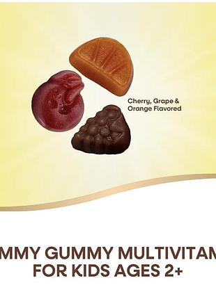 Вітаміни для дітей alive! premium gummy multivitamin 2