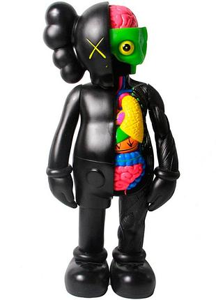 Іграшка фігурка kaws анатомія, 20 см для дітей (l_10414)