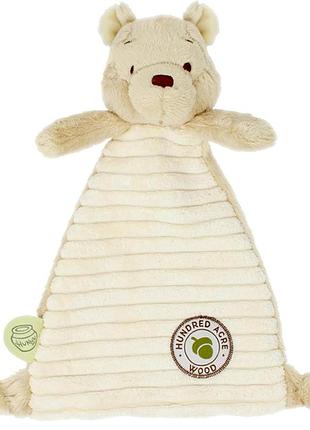 Winnie the pooh rainbow designs плед для немовлят 200 г hundred acre wood rbd-toy44