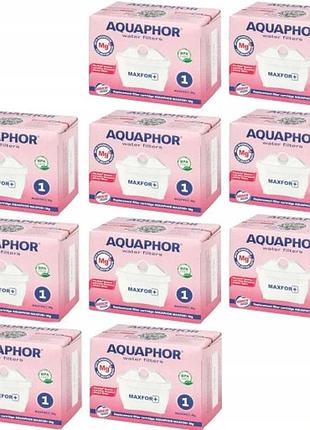 Фільтруючий елемент aquaphor maxfor+ mg 10 шт. для водного декантера
