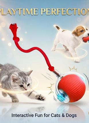 Інтерактивний м'яч-роздражнювач для кішок 5 в 1 з usb-зарядкою