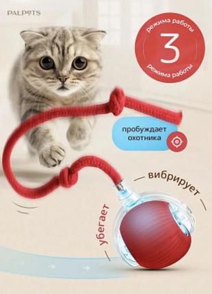 Интерактивный мяч для кошек palpets с веревочкой и вибрацией
