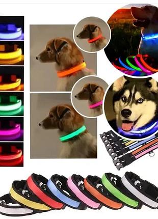 Нашийник світний нашийник на акумуляторі usb glow ring og