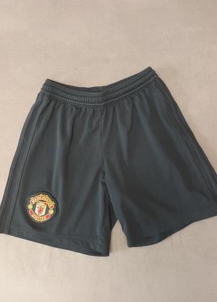 Шорти для хлопчика fc manchester united сірі