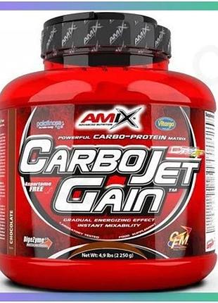 Гейнер amix carbojet gain 2.2 кг полуниця високовуглеводний протеїновий порошок для набору м'язової ма sku_cn9041-3