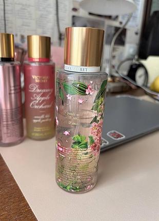 Парфумований спрей victoria’s secret santal blossom 2