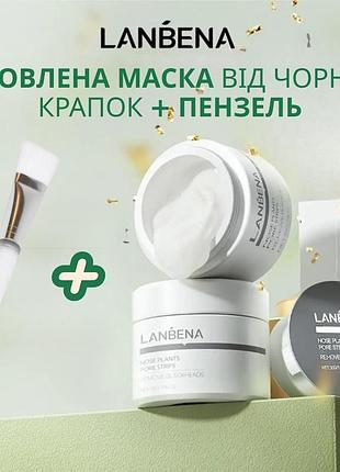 Маска lanbena 2%bha nose plants pore strips версія 2.0 із кислотами для видалення чорних цяток 30 г + 60 паперових пластин + пензель для макіяжу