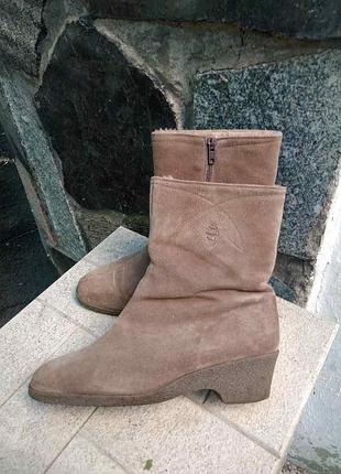 Зимние замшевые сапоги 2