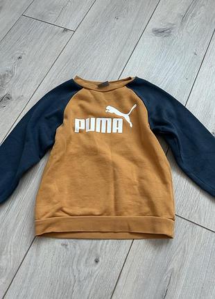 Світшот для хлопчика puma, гірчичний з синім