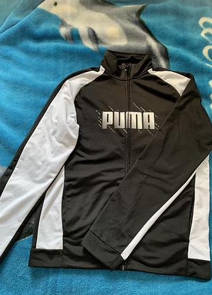 Олімпійка puma