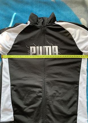 Олімпійка puma 3