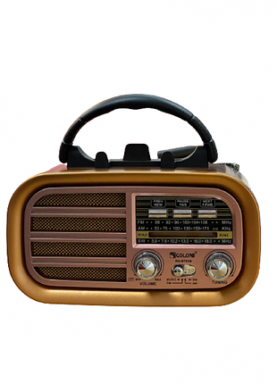 Портативний радіоприймач golon rx-bt638 з bluetooth, mp3 (usb/sd), знімним акумулятором і слотом для батарейок