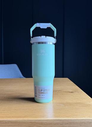 Stanley iceflow 2.0 flip straw tumbler