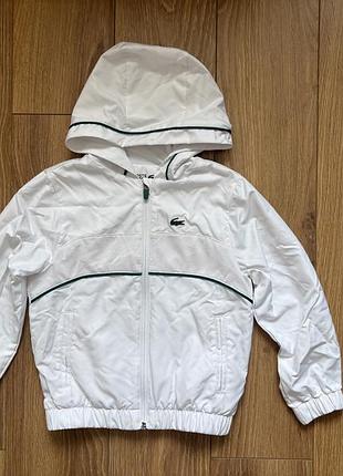 Lacoste, вітровка на хлопчика