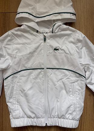 Lacoste, вітровка на хлопчика 2