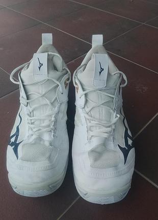 Кросівки чоловічі mizuno для волейболу білі