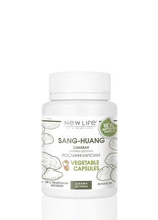 Sang-huang / гриб санхван 60 растительных капсул в баночке