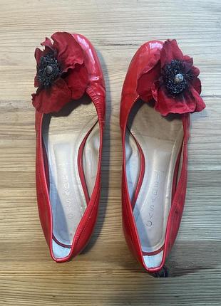 Балетки туфли casadei
