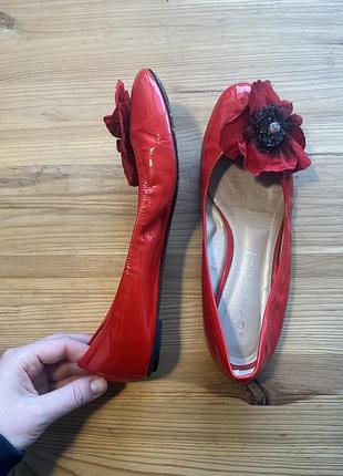 Балетки туфли casadei 3