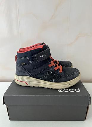 Кросівки ecco осінь-зима, сині, р.35 4