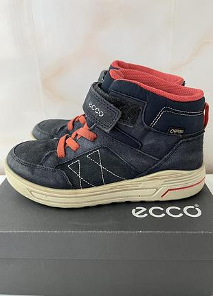 Кросівки ecco осінь-зима, сині, р.35