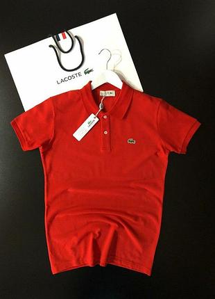 Чоловіче поло lacoste 2