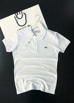 Чоловіче поло lacoste