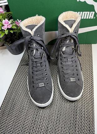Оригинальные замшевые ботинки угги ugg 2