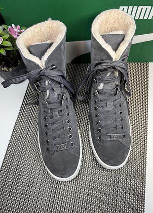 Оригинальные замшевые ботинки угги ugg 9