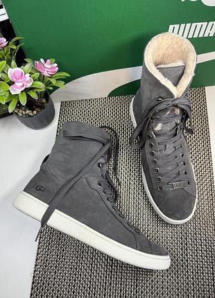 Оригинальные замшевые ботинки угги ugg