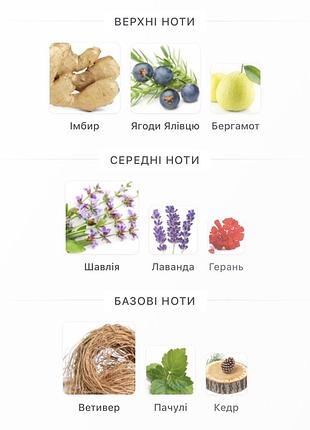 Y eau dе pаrfum intense від yvеs sаіnt lаurеnt 3