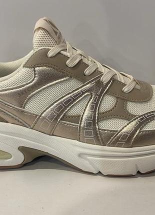 Skechers кросівки