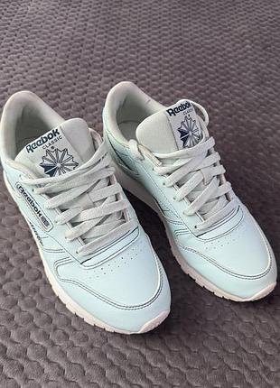 Кросівки жіночі reebok classic блакитні