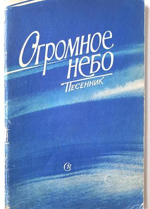 Безграничное небо. башня (на русском языке).порядитель ю. зацарственный