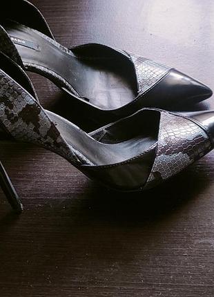 Жіночі туфлі zara чорні з анімалістичним принтом