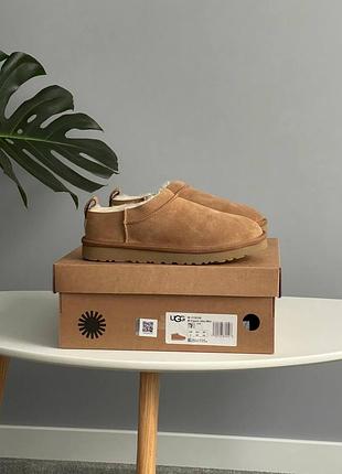 Ugg classic micro chestnut | руді замшеві кучугури з хутром | 37 - 41