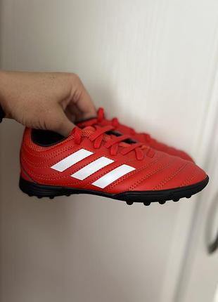 Сороконіжки, копи adidas