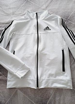 Спортивная кофта adidas 3