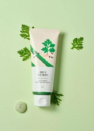 Round lab mugwort calming cleanser заспокійлива очищувальна пінка з морським полином,