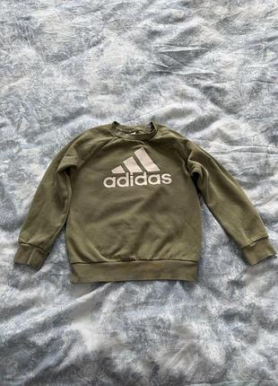 Світшот для хлопчика adidas оливковий/хакі, розмір 116 (5-6 років)