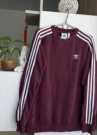 Світшот кофта бургунді утеплений подовжений adidas classics три смужки victory crimson (h06671)