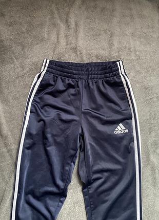 Спортивні штани жіночі adidas сині розмір m