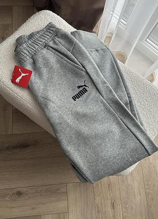 Джогери на флісі puma