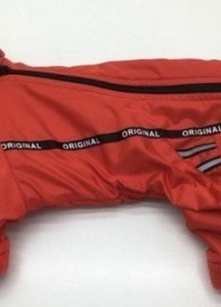 Комбінезон фліс zoobaza - 29х46+6