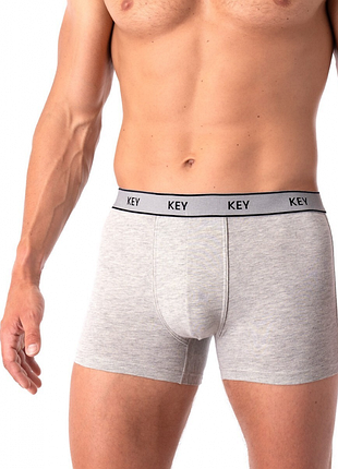Трусы мужские key mxh 222 (1 шт./уп.) сірий, l