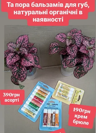 Органические натуральные бальзамы для губ айхерб мild by nature iherb