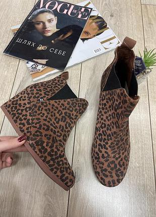 Жіночі черевики toms леопардові 2
