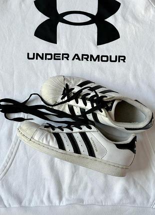 Кросівки жіночі adidas superstar білі, чорні 36 (23 см)